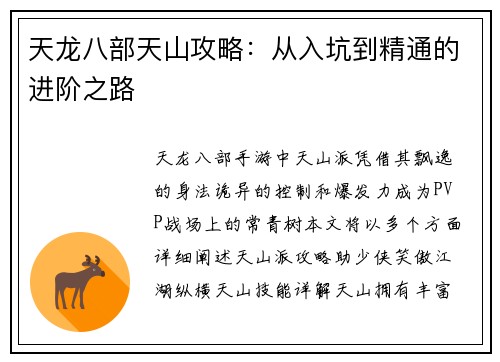 天龙八部天山攻略：从入坑到精通的进阶之路