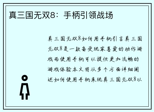 真三国无双8:手柄引领战场